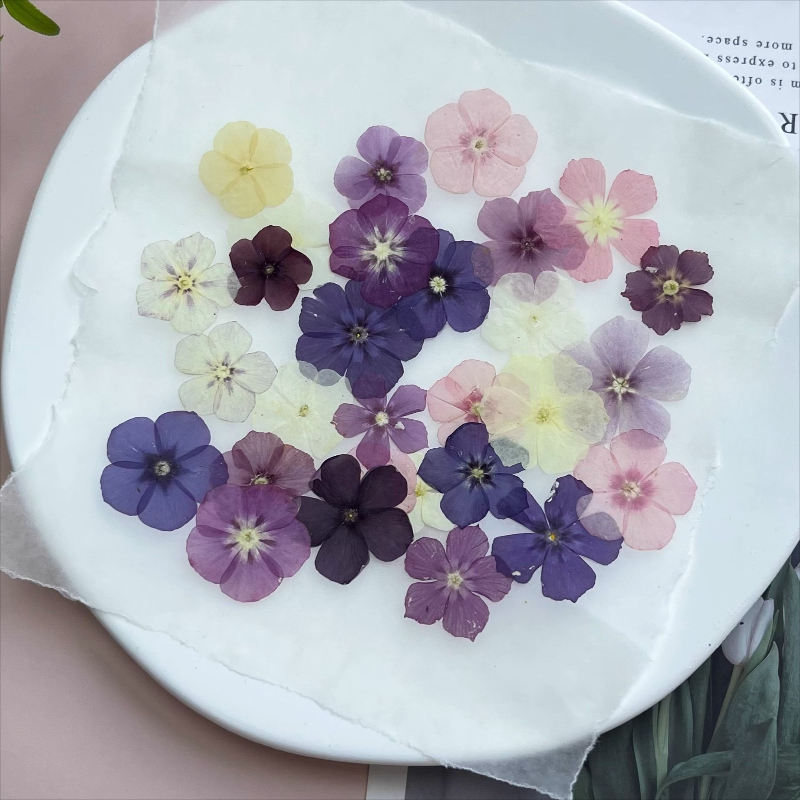 12pcs,Semi-Transparent Niche P - Resin Art Liquid ulasan dan harga
